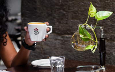 La nostra intervista su Bargiornale